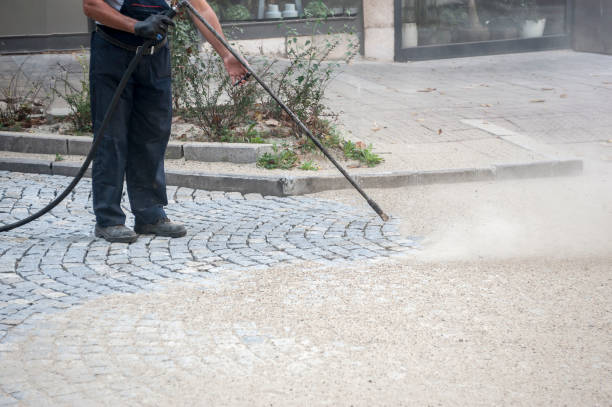 Best Gutter Cleaning  in Canal Winchester, OH